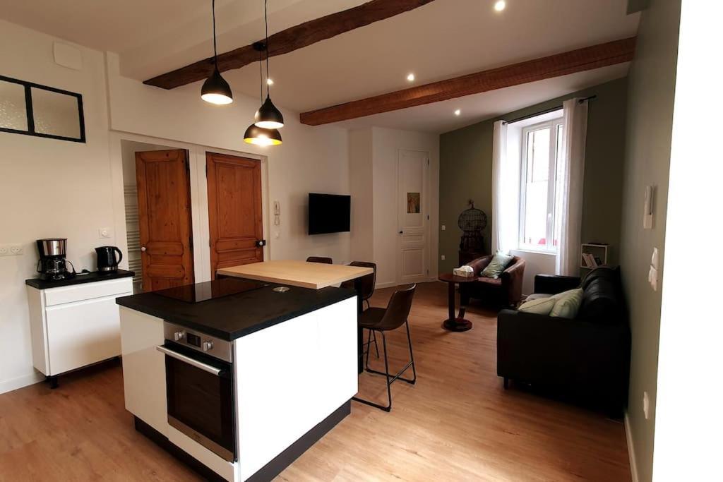 Classe 4 Etoiles - Cybele - Centre Ville 2 Chambres, Cour Privative Et Garage Vienne  Buitenkant foto