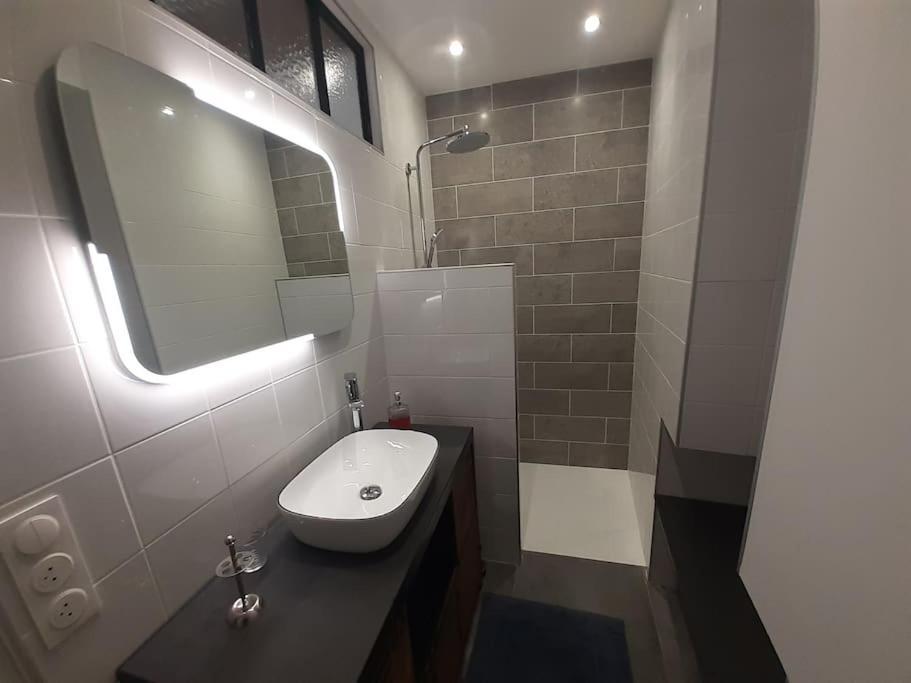 Classe 4 Etoiles - Cybele - Centre Ville 2 Chambres, Cour Privative Et Garage Vienne  Buitenkant foto