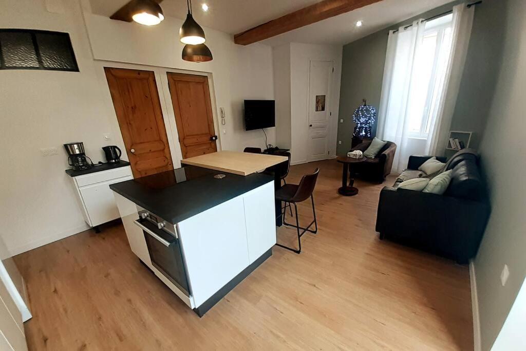 Classe 4 Etoiles - Cybele - Centre Ville 2 Chambres, Cour Privative Et Garage Vienne  Buitenkant foto